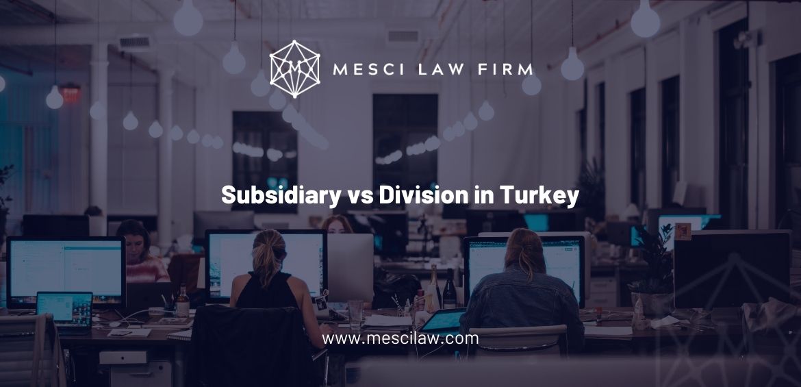 Subsidiary vs Division in Turkey