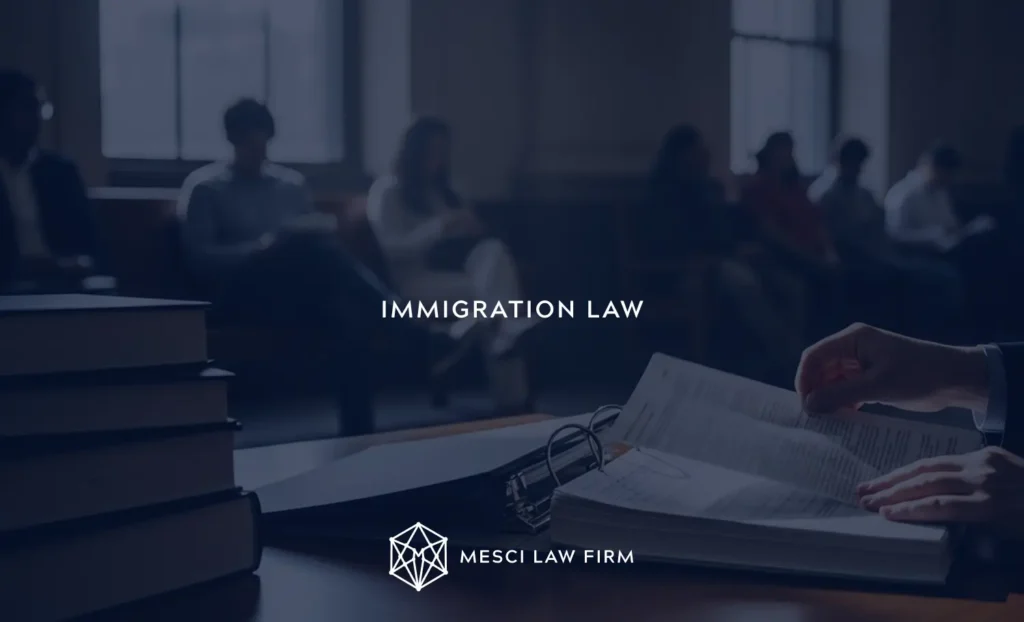 IMMIGRATION LAW in Turkey